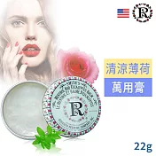 美國原裝Smith’s Rosebud尤加利薄荷萬用膏22g(鐵罐)