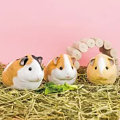 YOU+MORE! 天竺鼠 小物包 1.奶油