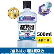 李施德霖 全效護理防蛀漱口水500ml