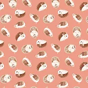 日本Pikka Pikka世界最細纖維毛孔潔淨布/限量聯名hopnbounce_刺蝟