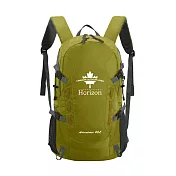 【Horizon 天際線】終極版 冒險家登山後背包 Adventurer 40L｜腰扣、胸扣、防雨罩、側袋 (多色任選) 苔蘚綠