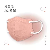 順易利-幼童3D立體醫用口罩-多色可選(一盒30入) 玫瑰金