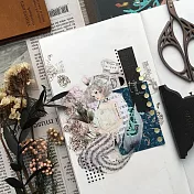 【 羊君 somesortof.fern 】 忒緹絲 Thetis｜PET膠帶