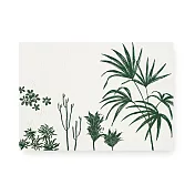 實心美術【2018每日卡連答】明信片 自然而然 日本棕櫚樹