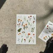 【sanaxillu】轉印貼紙 | 花園轉印貼