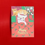 聖誕卡-Xmas Hollies 貓狗聖誕冬青 聖誕紅