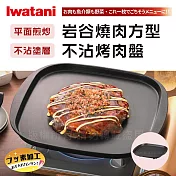 【Iwatani岩谷】燒肉方型不沾烤肉盤(CB-A-TPP)