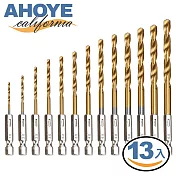 【AHOYE】13PCS鍍鈦六角麻花鑽頭 1.5-6.5mm