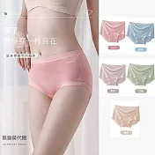 【missking 1983】中腰高彈莫代爾透氣無痕內褲 (三件組) m