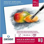 CANSON 油畫及壓克力用紙5張入/50*65cm/290gsm