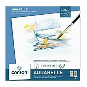CANSON 水彩紙5張入/50*65cm/300gsm
