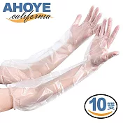【AHOYE】一次性加長清潔手套 10雙 (廚房手套 洗碗手套 家務手套)