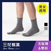 【SunFlower三花】三花五趾健康襪(襪子/短襪)6雙組_ 中灰