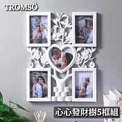 TROMSO心心發財樹5框組