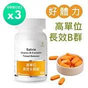 【佳醫】Salvia高單位長效B群錠(純素)3瓶共180顆