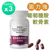 【SALVIA】Salvia葡萄糖胺軟骨素加強錠3瓶共180顆(到期日2027/1/16)