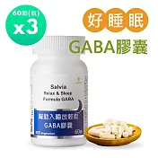 【佳醫】Salvia幫助入睡放輕鬆GABA膠囊 (純素)3瓶共180顆