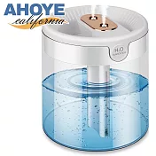 【AHOYE】2L雙噴頭水氧機 TYPE-C供電 (加濕器 薰香機 香氛機)