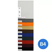 5折限量(10張單一色)如意卡270磅B4 SH00461