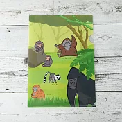 【日本kokorotodom】瀕危物種 A4資料夾 ‧ 猿類