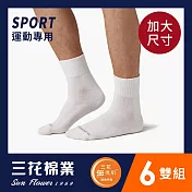 【SunFlower三花】三花大尺寸無痕肌1/2運動襪(6雙組)_ 白