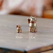 【呼運貓】單隻成貓 玫瑰金色