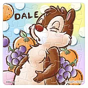 Chip an’ Dale奇奇蒂蒂(2)拼圖磁鐵16片(方)