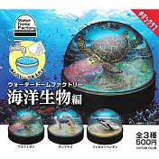 【日本正版授權】全套3款 水晶球工廠 海洋生物篇 扭蛋/轉蛋 瓶中造景/水晶球 動物模型 309055