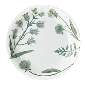 【日本小倉陶器】美濃燒 優雅花草 超輕量陶瓷淺盤16cm ‧ 綠