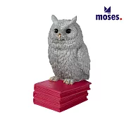 【德國Moses】時尚書擋(兩款可選) 知識家