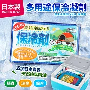 日本製多功能保冷凝劑