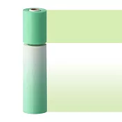 【日本Mark’s】水性筆可寫紙膠帶Slim二入組 ‧ 漸層/綠