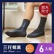 【SunFlower三花】大尺寸無痕肌簡約休閒襪(6雙組) 藍/水