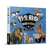 樂彩森林 圖鑑小百科 ?野生動物