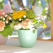 【日本Green House】bonne chance 竹製環保盆栽S ‧ 蘋果綠