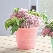 【日本Green House】Plein de bonheur 塑膠盆栽M ‧ 櫻花粉