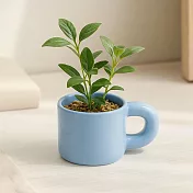 【日本Green House】馬克杯造型 陶製裝飾盆栽 ‧ 天藍