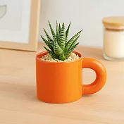 【日本Green House】馬克杯造型 陶製裝飾盆栽 ‧ 鮮橘