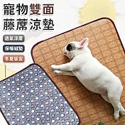 【EZlife】寵物藤席珊瑚絨兩用墊(50x38cm) 藍色星星