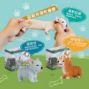 【KIDO BUDDY】紓壓犬系列  黑色巴哥犬