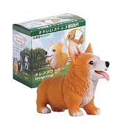 【KIDO BUDDY】紓壓犬系列  橙色柯基犬