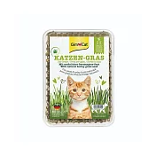 竣寶 新鮮貓草盒裝 DIY 100g/盒 田園草甸味大麥貓草