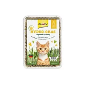 竣寶 新鮮貓草盒裝 DIY 100g/盒 一次澆水長效保濕貓草