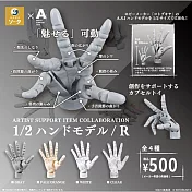 【日本正版授權】全套4款 畫家練習收藏 1比2手模型 R 扭蛋/轉蛋 492973 右手模型 加加美高浩/白髭創