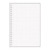 【日本Mark’s】PapiKnot 20孔5mm方眼補充內頁A5 ‧ 鮭魚粉