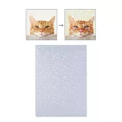 【日本Mark’s】PapiKnot 虹光裝飾貼紙(6枚入)