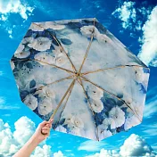 翡冷翠文創花漾藝術雙面折傘《墨染星辰》藍