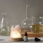 【hoi!LAB】富士水晶擴香燈-粉水晶