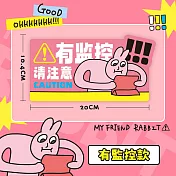 粉紅兔子掛牌 (有監控)
