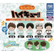 【日本正版授權】全套5款 排球少年 Q版軟膠公仔 青葉城西&梟谷學園 扭蛋/轉蛋 085116 及川徹/岩泉一/國見英/木兔光太郎/赤葦京治